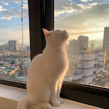 縮圖